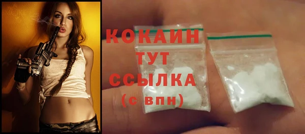 шишки Михайловск