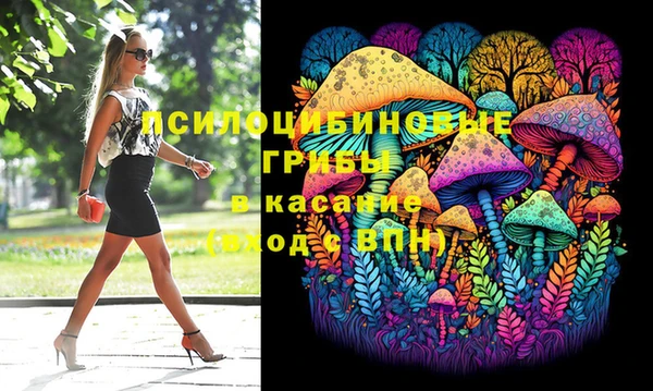 прущие грибы Бердск