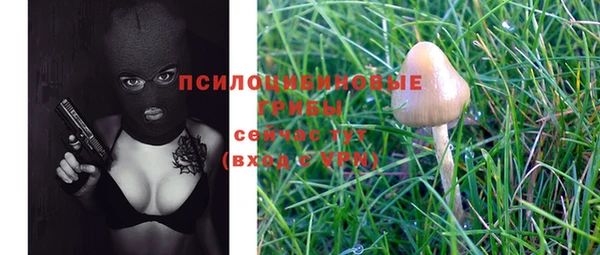 соль ск Мегион