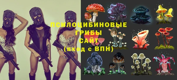 спайс Медногорск