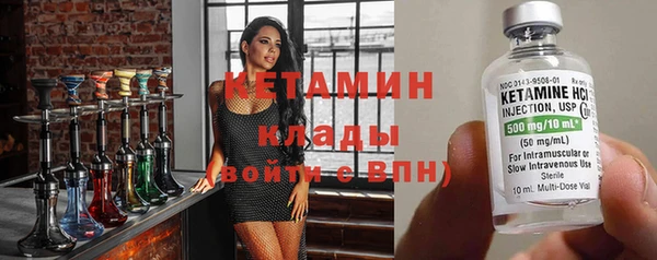 прущие грибы Бердск