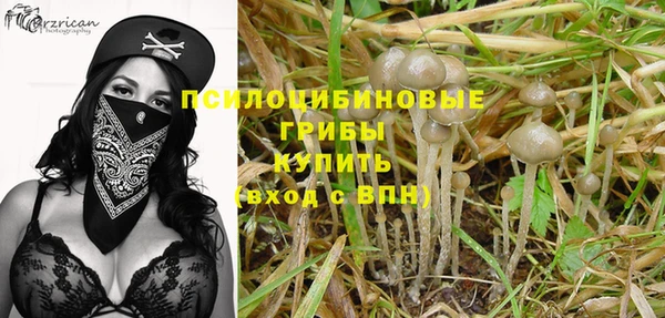 спайс Медногорск
