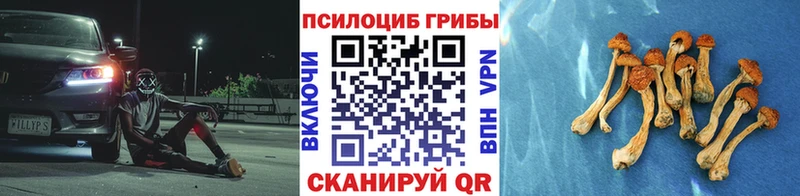 Псилоцибиновые грибы GOLDEN TEACHER  kraken маркетплейс  Полярные Зори 