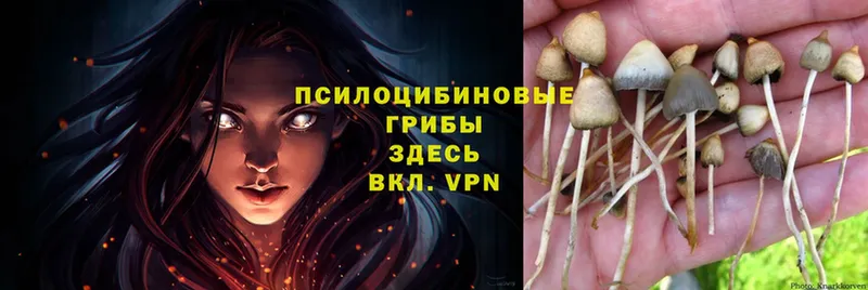 ОМГ ОМГ ССЫЛКА  Полярные Зори  Псилоцибиновые грибы MAGIC MUSHROOMS 