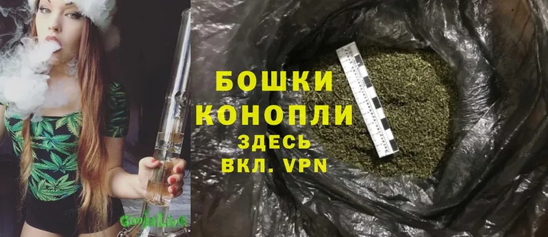 kraken маркетплейс  площадка формула  Шишки марихуана AK-47  Полярные Зори 